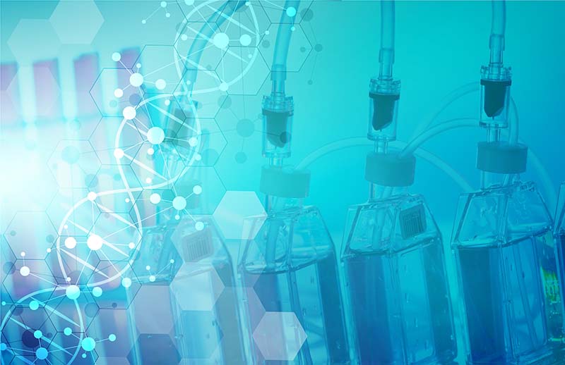 什么是培養基？培養基分為哪三大類？